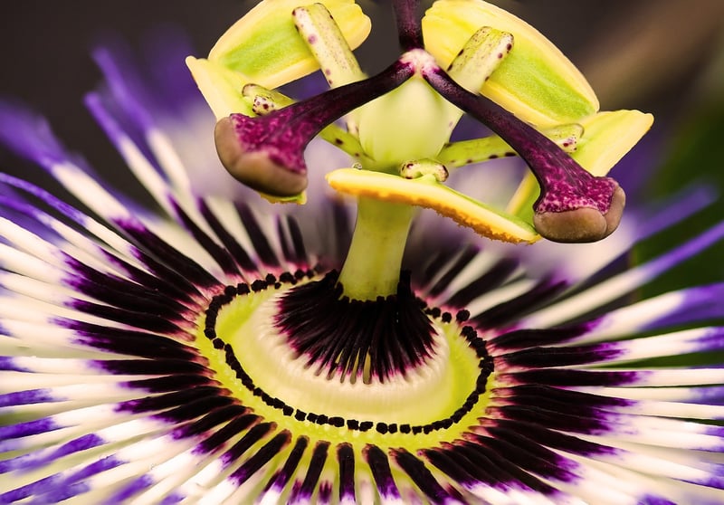 Exotic taste journeys